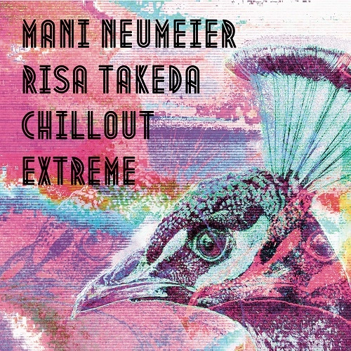 MANI NEUMEIER & RISA TAKEDA / マニ・ノイマイヤー&武田理沙 / チルアウト･エクストリーム / CHILLOUT EXTREME