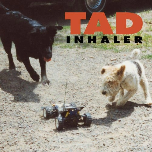 TAD / タッド / INHALER [LP]