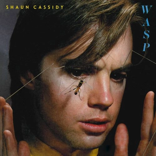 SHAUN CASSIDY / ショーン・キャシディ / WASP [LP]