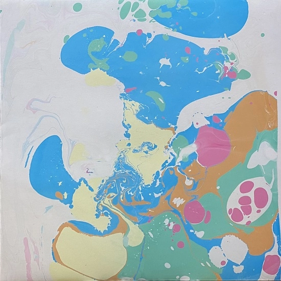 DEXTER (HIPHOP) / TRIP - PAINT COVER LP -