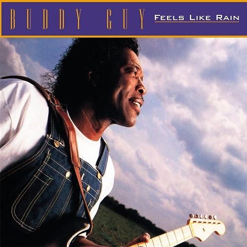 BUDDY GUY & JUNIOR WELLS / バディ・ガイ&ジュニア・ウェルズ / FEELS LIKE RAIN (LP)