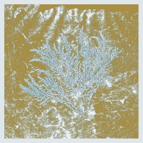 HUERCO S. / フエアコ・エス / FOR THOSE OF YOU WHO HAVE NEVER (AND ALSO THOSE WHO HAVE) GREEN VINYL