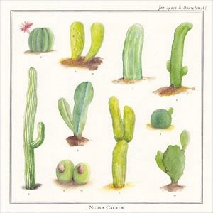 JOE SPACE & DRUMTOMSKI / NUDUS CACTUS