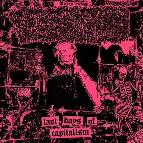 TOLERANCE (PUNK) / LAST DAYS OF CAPITALISM (LP)