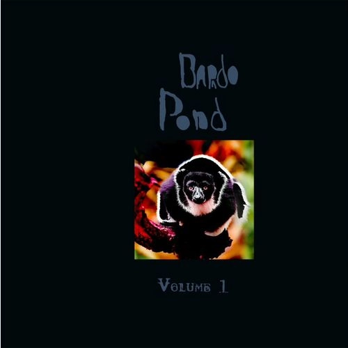 BARDO POND / バルドー・ポンド / VOLUME 1 [LP]