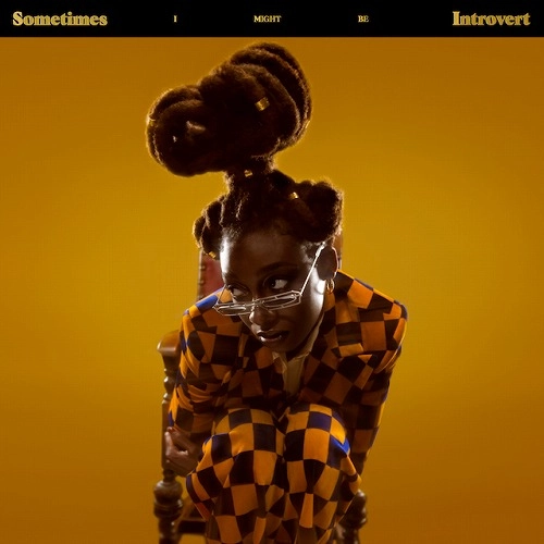 LITTLE SIMZ / リトル・シムズ / Sometimes I Might Be Introvert