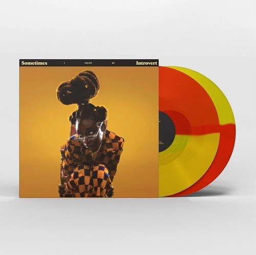 LITTLE SIMZ / リトル・シムズ / Sometimes I Might Be Introvert