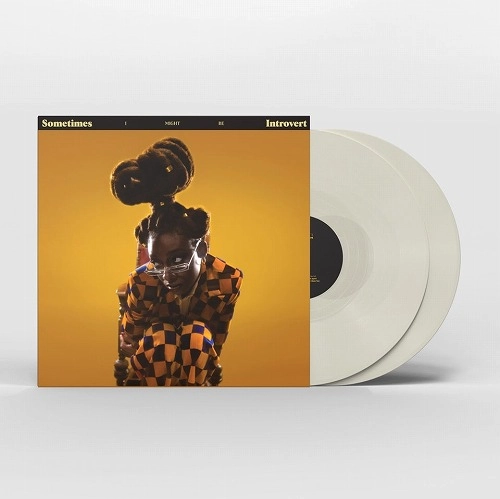 LITTLE SIMZ / リトル・シムズ / SOMETIMES I MIGHT BE INTROVERT