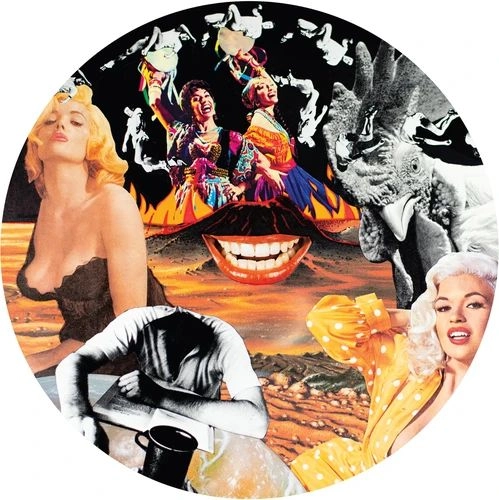 NURSE WITH WOUND / ナース・ウィズ・ウーンド / SYLVIE & BABS (LP)