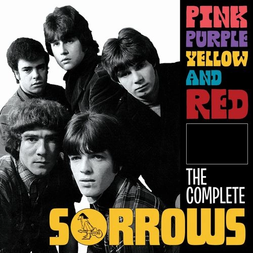 SORROWS / ソロウズ / PINK PURPLE YELLOW AND RED ~ THE COMPLETE SORROWS: 4CD CLAMSHELL BOXSET