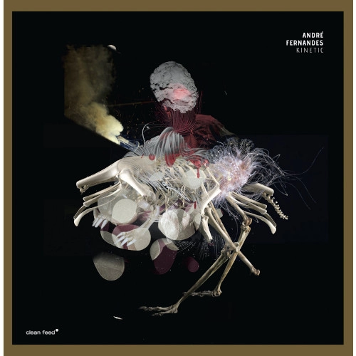 ANDRE FERNANDES / KINETIC(LP)