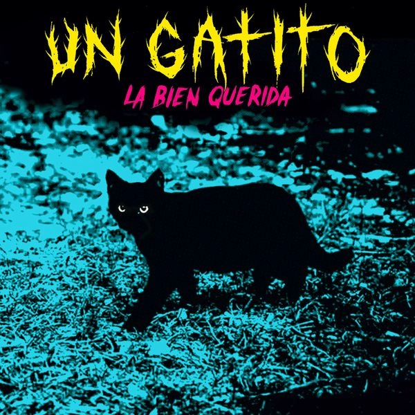LA BIEN QUERIDA / UN GATITO