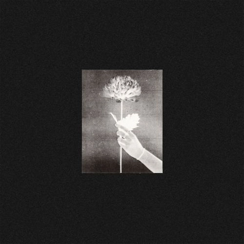 WHITE FLOWERS / DAY BY DAY (CD) / DAY BY DAY