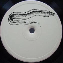 TAFKAMP / ALEX RANZINO / PALING TRAX 4