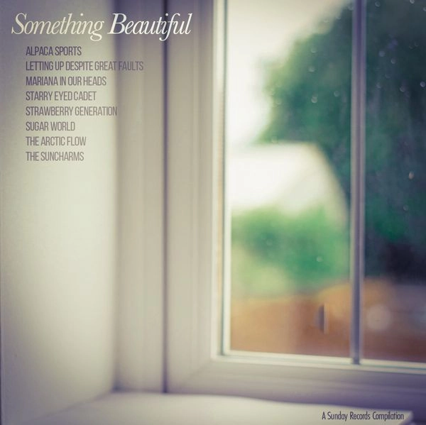 V.A. / SOMETHING BEAUTIFUL (CD)