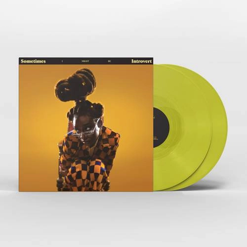 LITTLE SIMZ / リトル・シムズ / Sometimes I Might Be Introvert
