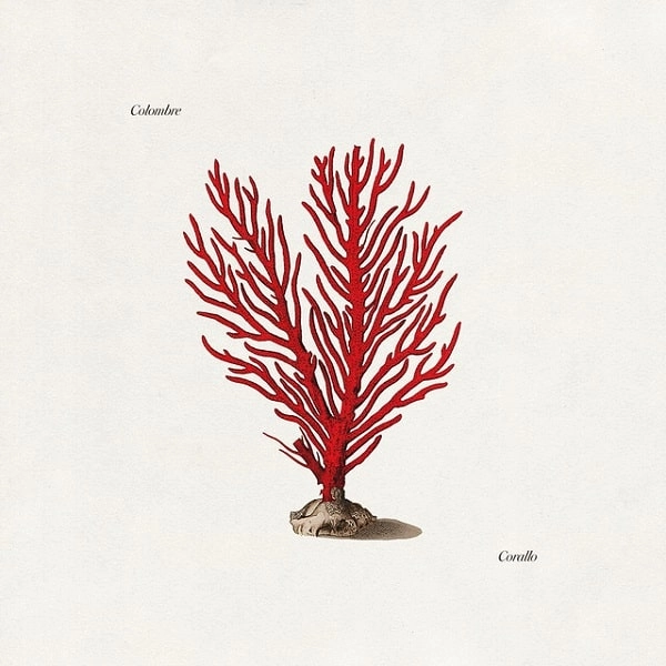 COLOMBRE / コロンブレ / CORALLO