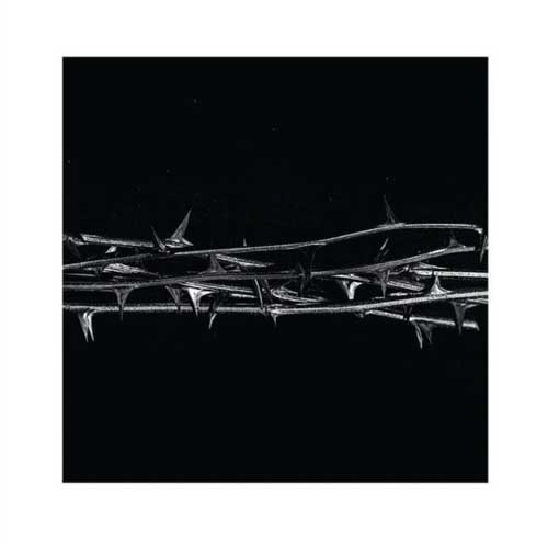 AMENRA / アメンラー / DE DOORN (2LP)
