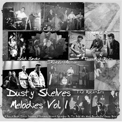 V.A. / オムニバス / DUSTY SHELVES MELODIES VOL.1 (LP)