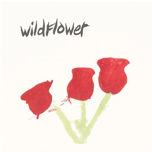 WILDFLOWER(UK JAZZ) / ワイルド・フラワー / BETTER TIMES