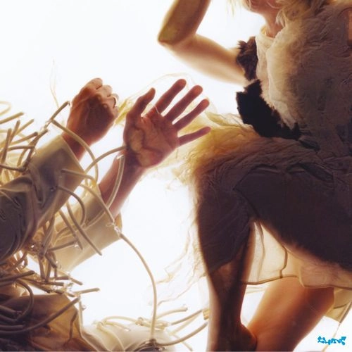 LUMP (ROCK) / ランプ / ANIMAL(LP)