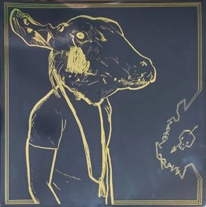 SHAKEY GRAVES / ROLL THE BONES X (10TH ANNIVERSARY EDITION)