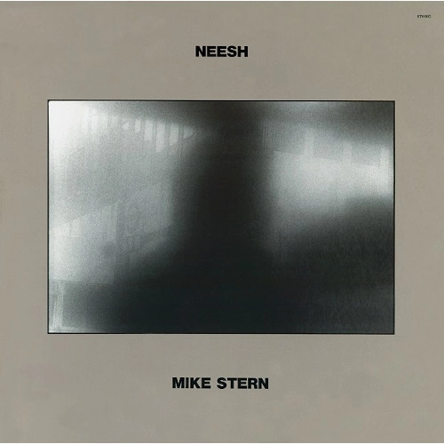 MIKE STERN / マイク・スターン / ファット・タイム