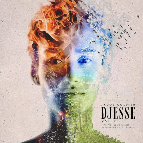 JACOB COLLIER / ジェイコブ・コリアー / DJESSE VOL.1 VINYL TOUR VERSION(LP) / DJESSE VOL.1 VINYL TOUR VERSION