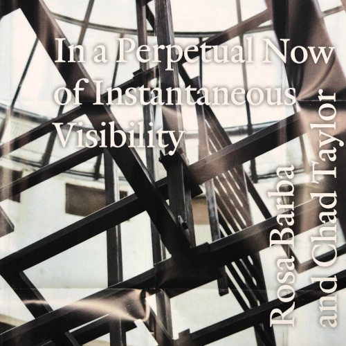 ROSA BARBA & CHAD TAYLOR / IN A PERPETUAL NOW OF INSTANTANEOUS VISIBILITY