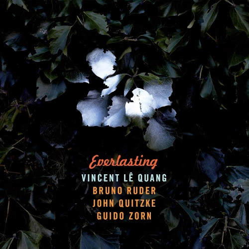 VINCENT LE QUANG / EVERLASTING