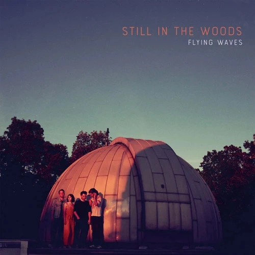 STILL IN THE WOODS / FLYING WAVES