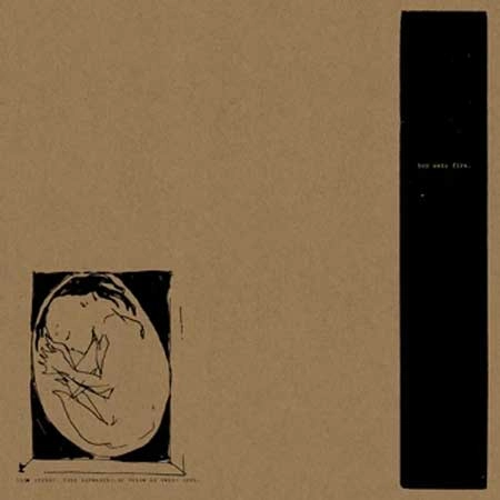 BOY SETS FIRE / ボーイ・セッツ・ファイア / THIS CRYING THIS SCREAMING MY VOICE IS BEING BORN (LP)