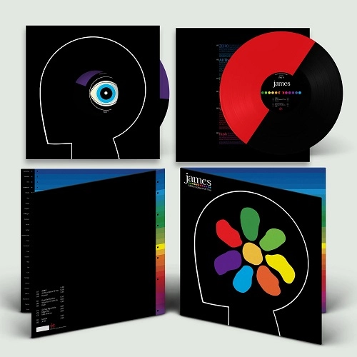 JAMES / ジェイムズ / ALL THE COLOURS OF YOU [LIMITED HALF COLOURED LP]