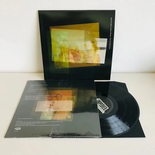 DAVID GRUBBS AND NIKOS VELIOTIS / デイヴィッド・グラブス & ニコス・ヴェリオティス / THE HARMLESS DUST (LP) / THE HARMLESS DUST
