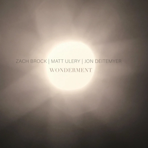 ZACH BROCK  / ザック・ブロック / WONDERMENT