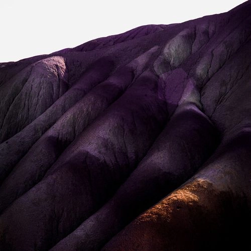 WHISPERING SONS / SEVERAL OTHERS(LP)