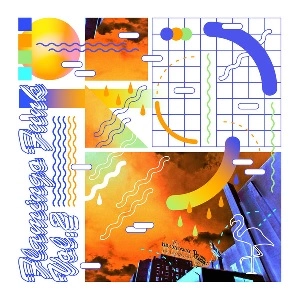 V.A / FLAMINGO FUNK VOL.2