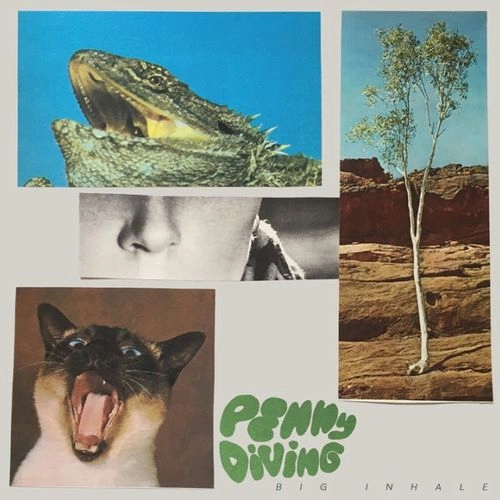 PENNY DIVING / BIG INHALE（LP）