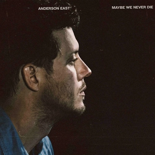 ANDERSON EAST  / アンダーソン・イースト / MAYBE WE NEVER DIE [VINYL]