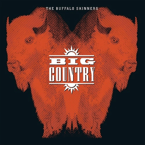 BIG COUNTRY / ビッグ・カントリー / BUFFALO SKINNERS [2LP VINYL]
