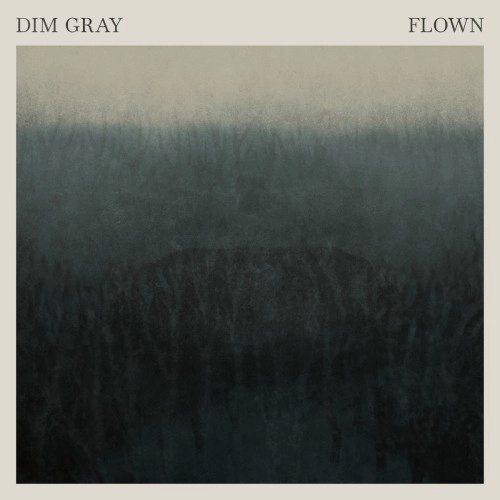 DIM GRAY / FLOWN: 180g LIMITED VINYL