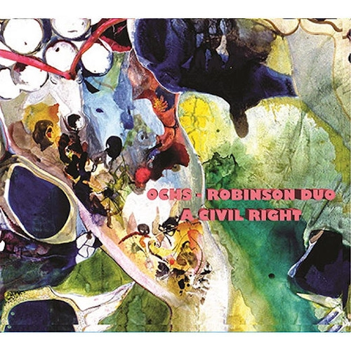 LARRY OCHS/DONALD ROBINSON / CIVIL RIGHT