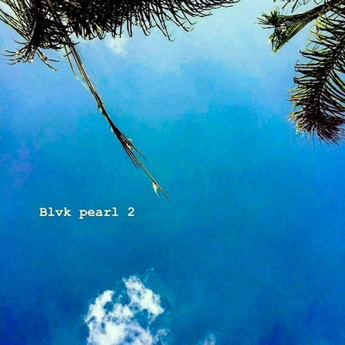 THA GOD FAHIM X CAMOFLAUGE MONK / BLVK PEARL 2 "LP"