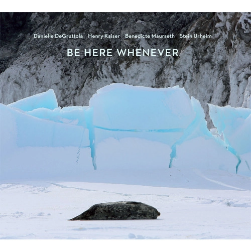 HENRY KAISER / ヘンリー・カイザー / BE HERE WHENEVER