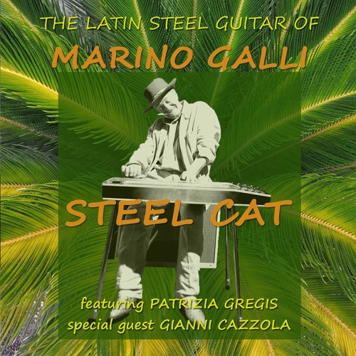 MARINO GALLI / STEEL CAT