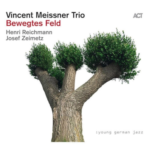 VINCENT MEISSNER / ヴィンセント・マイスナー / BEWEGTES FELD