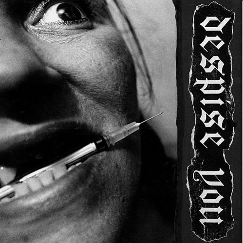 DESPISE YOU / WEST SIDE HORIZONS (LP)