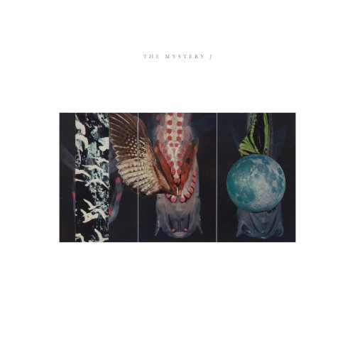 JOE MCPHEE / ジョー・マクフィー / MYSTERY J
