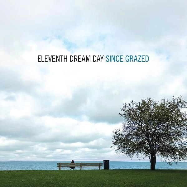 ELEVENTH DREAM DAY / イレヴンス・ドリーム・デイ / SINCE GRAZED (VINYL)