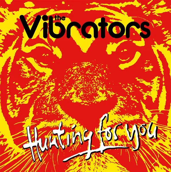 VIBRATORS / バイブレーターズ / HUNTING FOR YOU (LP)